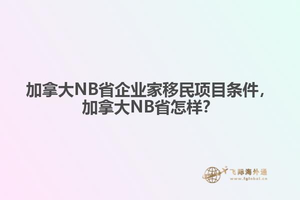 加拿大NB省企業(yè)家移民項目條件，加拿大NB省怎樣？