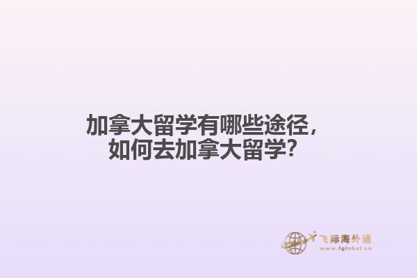 加拿大留學(xué)有哪些途徑，如何去加拿大留學(xué)？