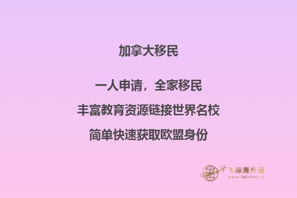 華人移民加拿大的真實案例