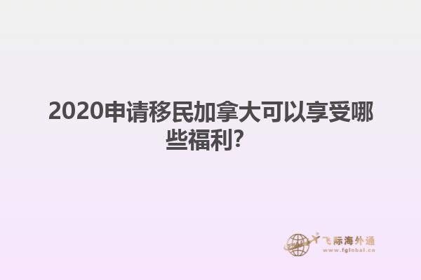 2020申請移民加拿大可以享受哪些福利？