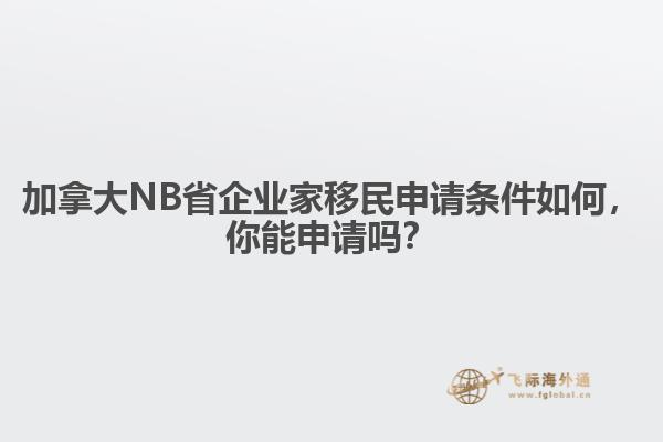 加拿大NB省企業(yè)家移民申請條件如何，你能申請嗎？