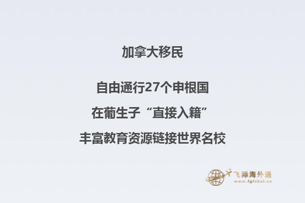 加拿大NB省企業(yè)家移民申請條件如何，你能申請嗎？