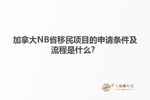 加拿大NB省移民項目的申請條件及流程是什么？