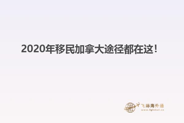 2020年移民加拿大途徑都在這！