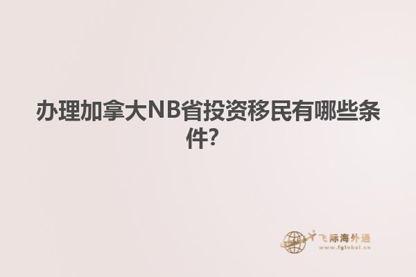 辦理加拿大NB省投資移民有哪些條件？