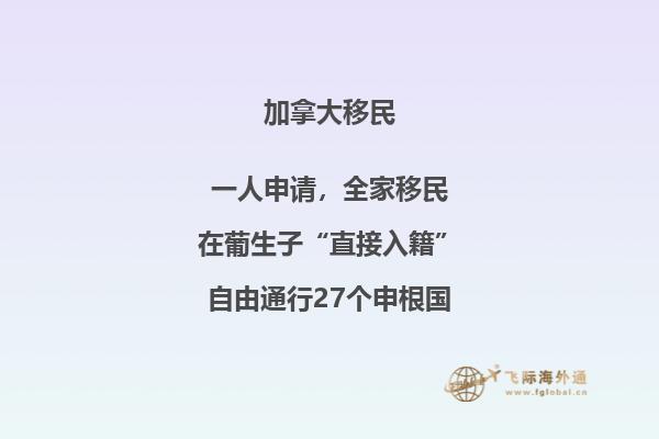 加拿大打工簽證需要什么條件多少錢