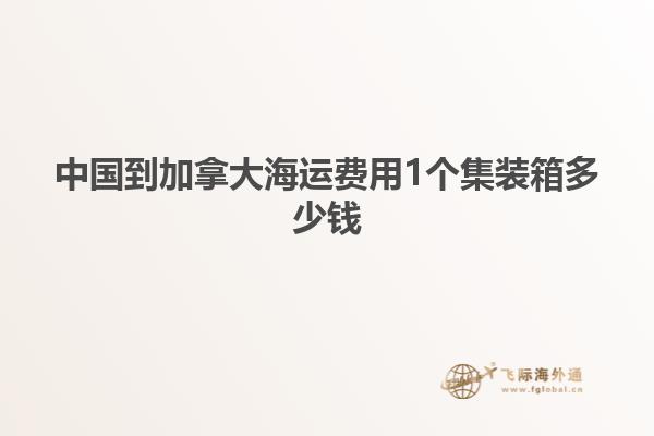 中國到加拿大海運(yùn)費(fèi)用1個(gè)集裝箱多少錢