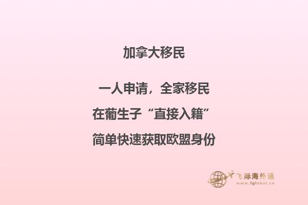 加拿大留學(xué)簽證如何辦理流程小紅書