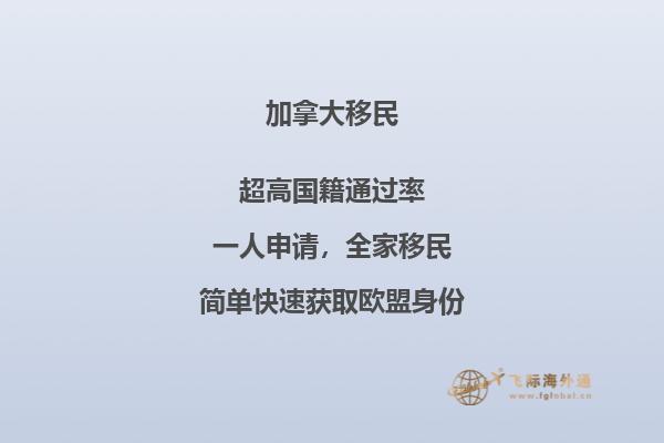 加拿大簽證最新政策無犯罪記錄證明