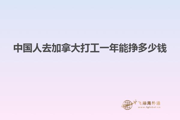 中國(guó)人去加拿大打工一年能掙多少錢