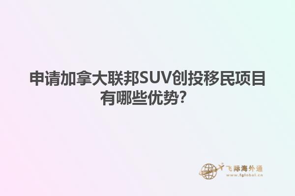 申請加拿大聯(lián)邦SUV創(chuàng)投移民項目有哪些優(yōu)勢？