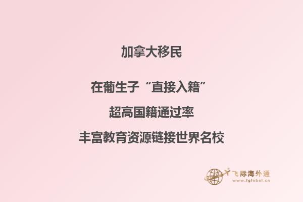 在加拿大留學需要什么