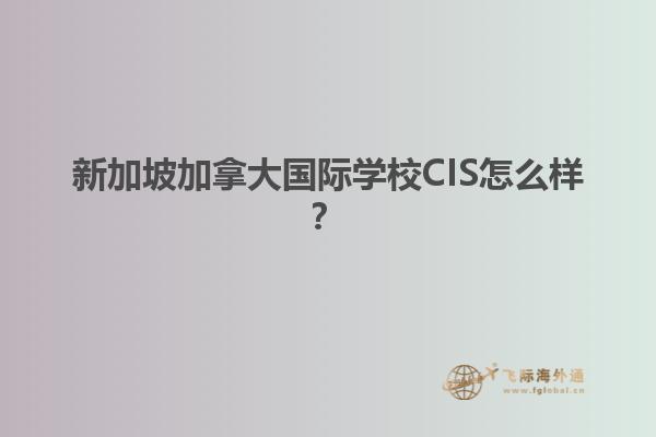 新加坡加拿大國際學校CIS怎么樣？