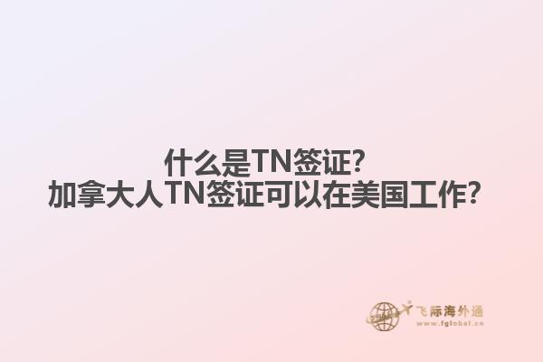 什么是TN簽證？加拿大人TN簽證可以在美國(guó)工作？