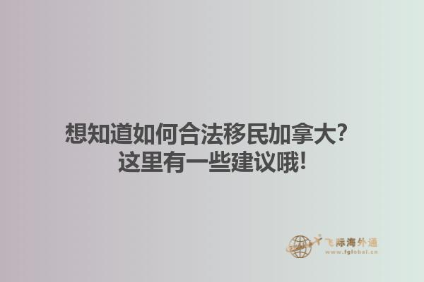 想知道如何合法移民加拿大？這里有一些建議哦!